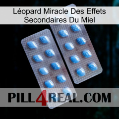 Léopard Miracle Des Effets Secondaires Du Miel viagra4